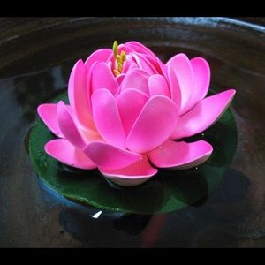 Meet your Posher, Lotus